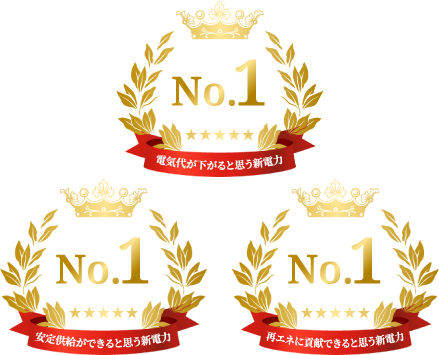 No.1電気代が下がると思う新発力No.1安定供給ができると思う新を力No.1再エネに質献できると思う新能力