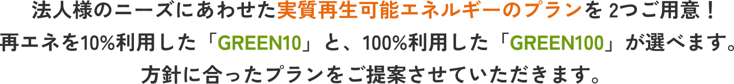 法人様のニーズにあわせた実質再生可能エネルギーのプランを2つご用意！再エネを10%利用した「GREEN10」と、100%利用した「GREEN100」が選べます。方針に合ったプランをご提案させていただきます。 