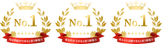 No.1安定供給ができると思う新能力No.1★★★★★電気代が下かると思う新選力¥900No.1物エネに買録できると思う所蔵力