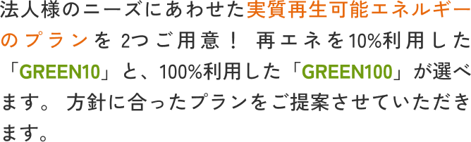 法人様のニーズにあわせた実質再生可能エネルギーのプランを2つご用意！再エネを10%利用した「GREEN10」と、100%利用した「GREEN100」が選べます。方針に合ったプランをご提案させていただきます。 