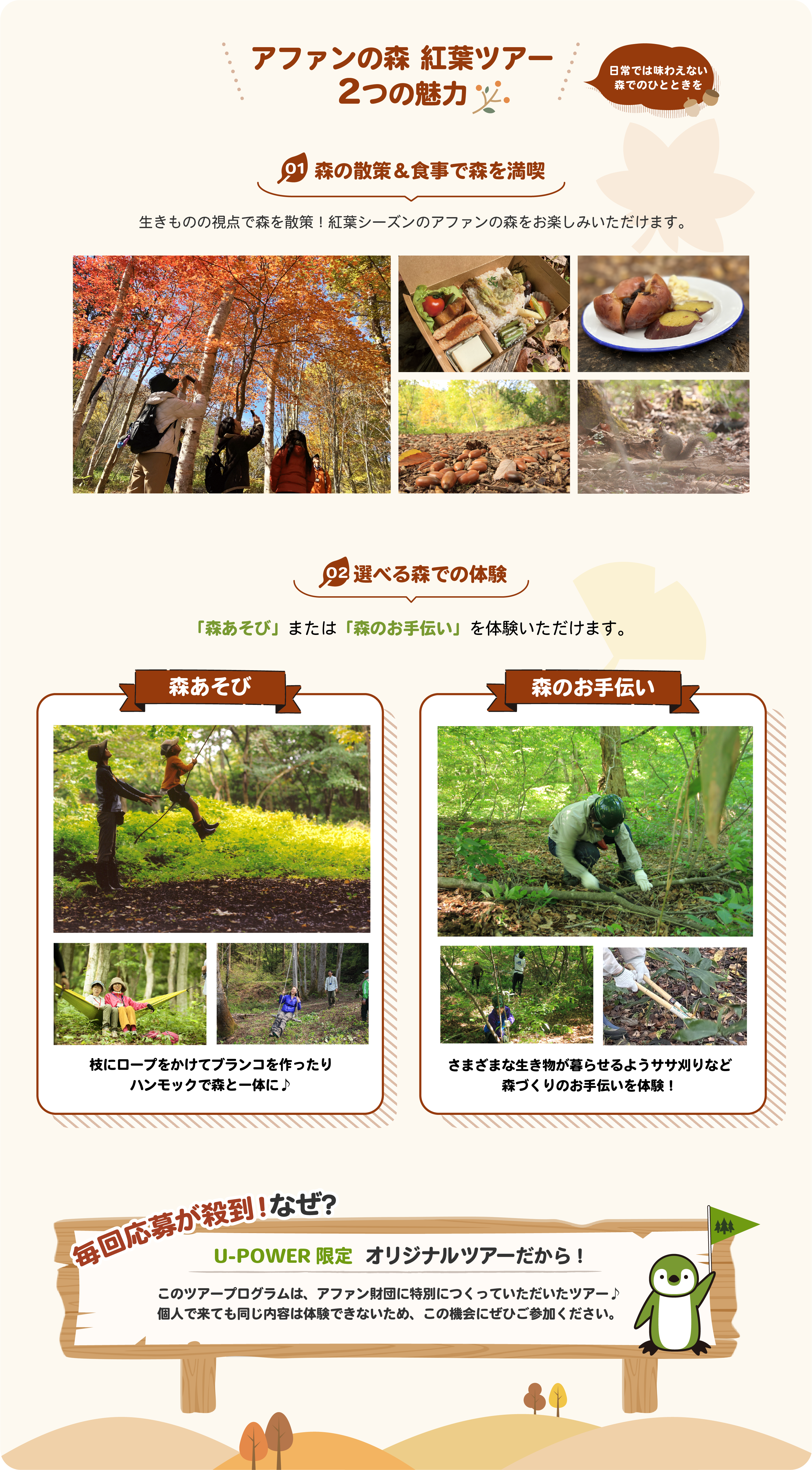 キャンペーン