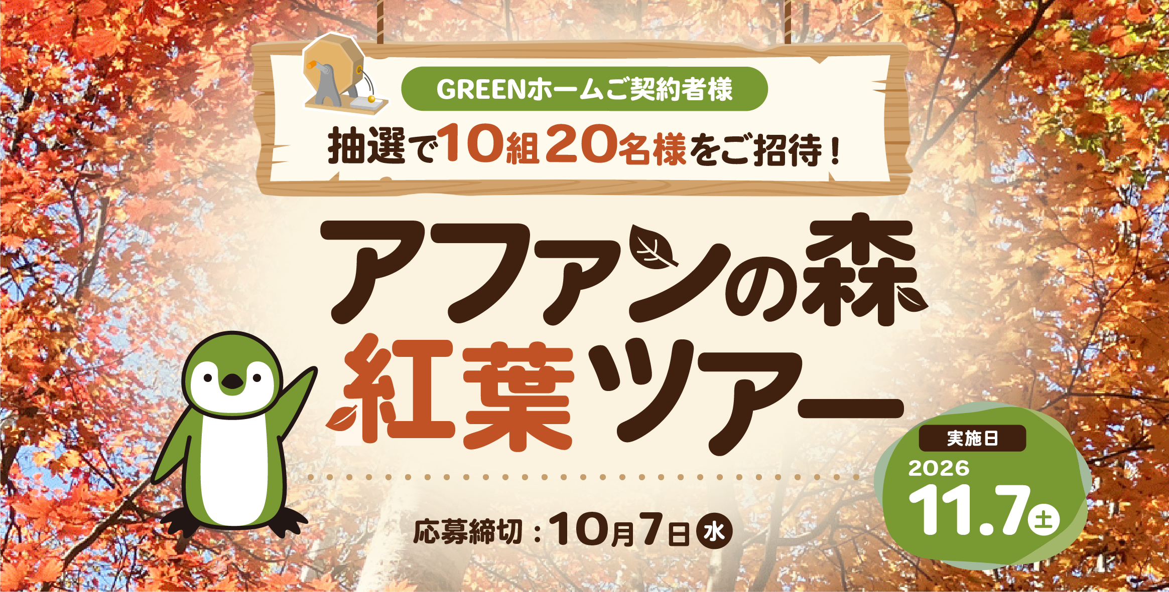キャンペーン