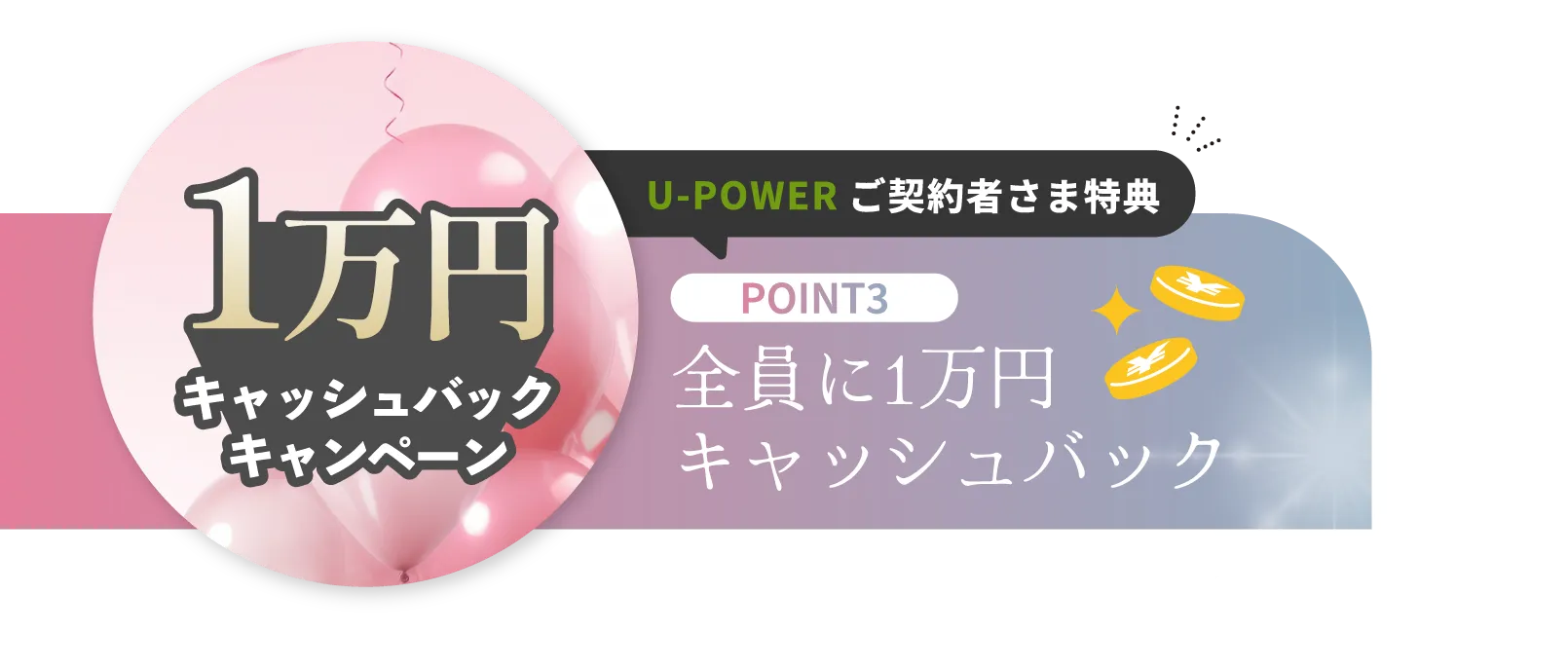 TGCでんき公式ページ限定特典③全員に1万円キャッシュバック